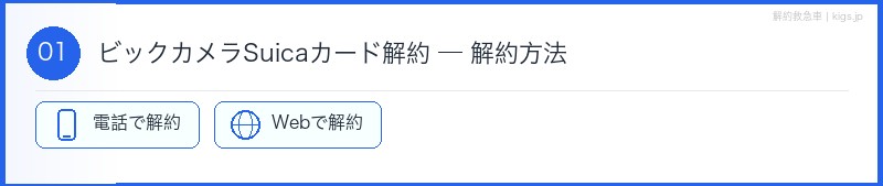 ビックカメラSuicaカード解約方法セクション