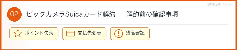 ビックカメラSuicaカード解約前確認セクション