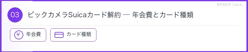 ビックカメラSuicaカード年会費セクション