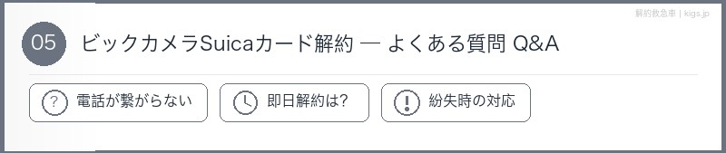 ビックカメラSuicaカードFAQセクション