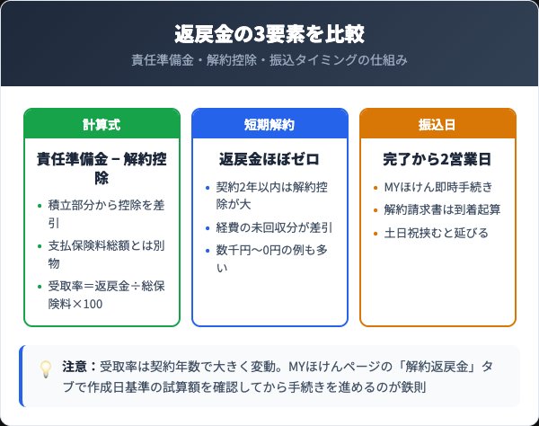 解約返戻金の計算方法と振込タイミングを徹底解説