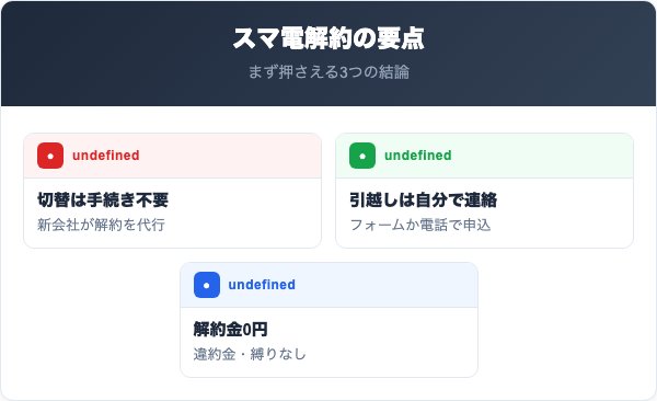 スマ電解約の要点